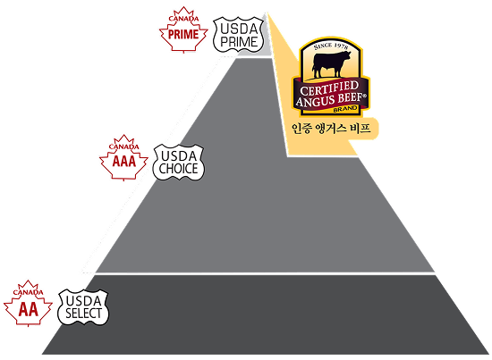 USDA Select:16% 소량의 (Slight) 마블링,USDA choice:34% 적은 (Small) 마블링 대부분의 USDA Choice 등급은 마블링 함량이 적어 취급 기준에 적합하지 않습니다/ 26% 보통 (Modest) 마블링/ 15% 적당한 (Moderate) 마블,USDA Prime:9% 풍부한 (Abundant) 마블링
									,9% 15% 26% USDA 품질 등급 중 보통(modest) 이상의 마블링만을 취급합니다